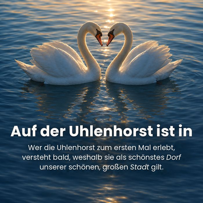 Auf der Uhlenhorst ist in – zur Startseite